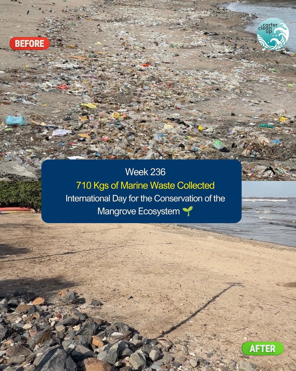 Before and after photos of a Carter Road shoreline clean-up, marking 710 kilograms of marine waste collected in a single week