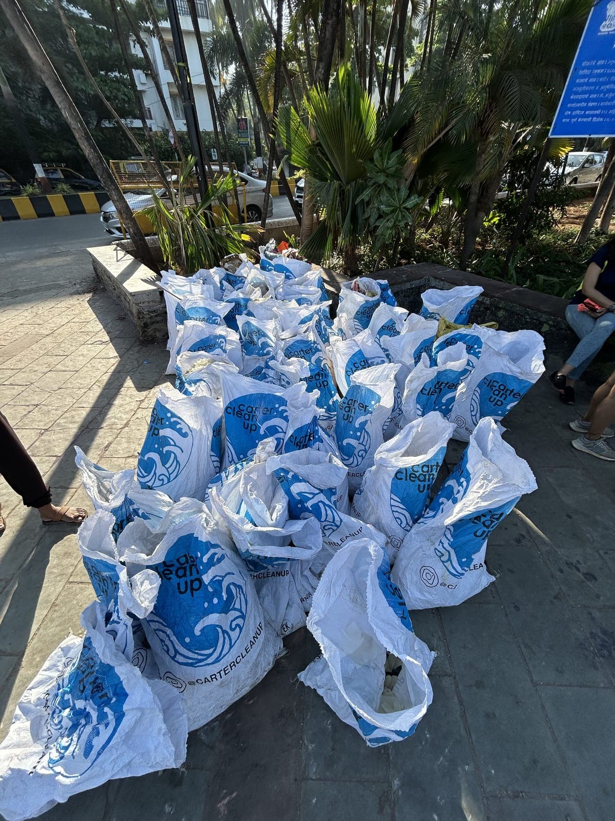 Sacks of waste collected during a Carter Clean Up drive, stacked on the promenade under palm trees