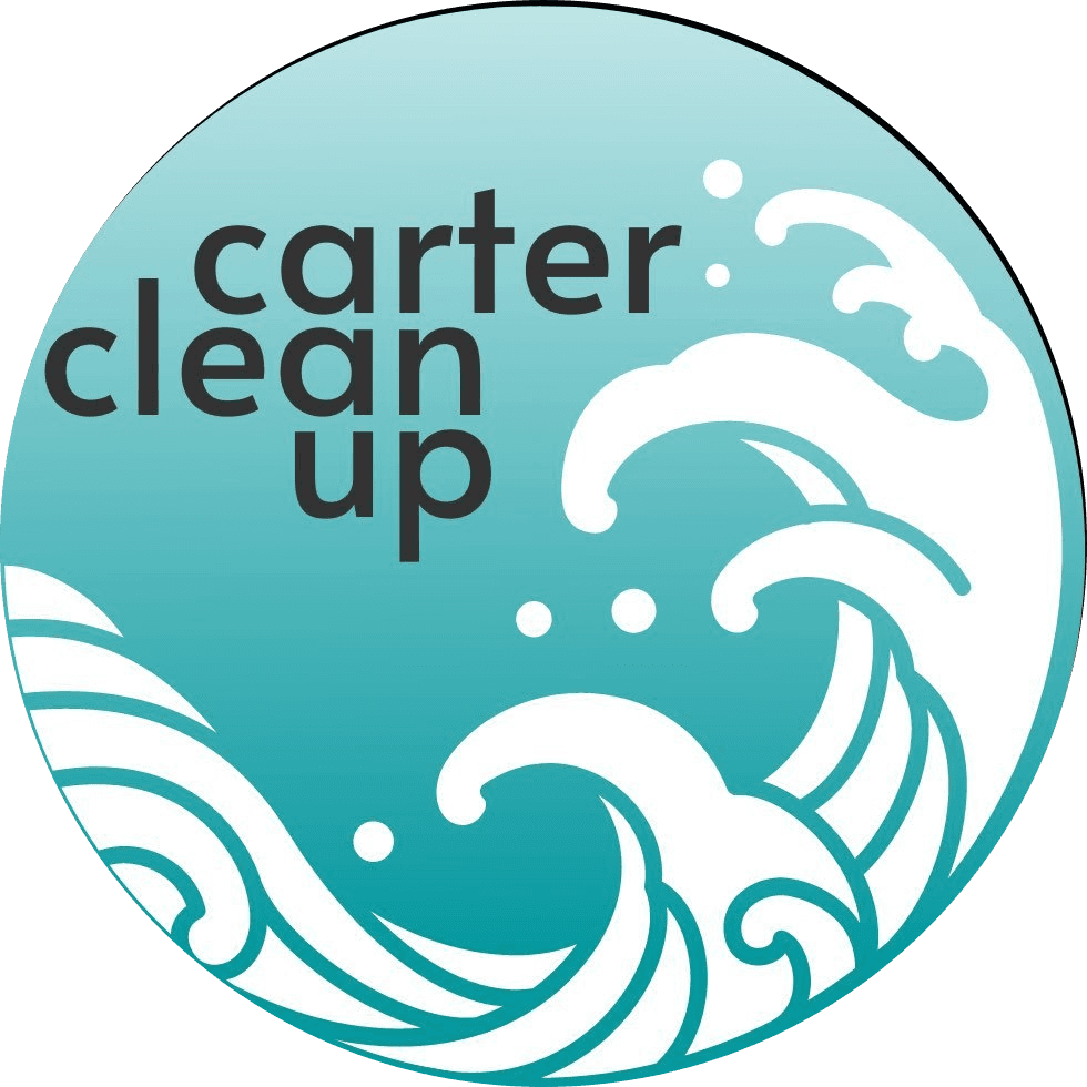 Carter Clean Up logo